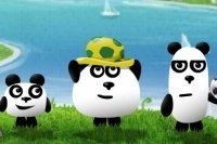 3 pandas au Brésil 3 pandas au Brésil