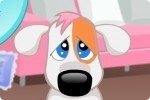 Chien triste 2 Chien triste 2