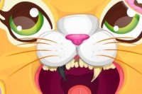 Dentiste pour chats Dentiste pour chats