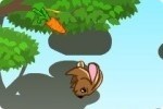 Fluffy le lapin Fluffy le lapin