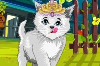 Habille le Chaton Adorable Habille le Chaton Adorable