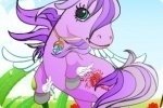 Look du poney Look du poney