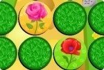 Match Fleurs Match Fleurs