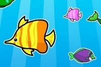 Memory poissons Memory poissons