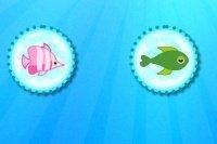 Trouver les poissons Trouver les poissons