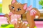 Une chatte distinguée Une chatte distinguée